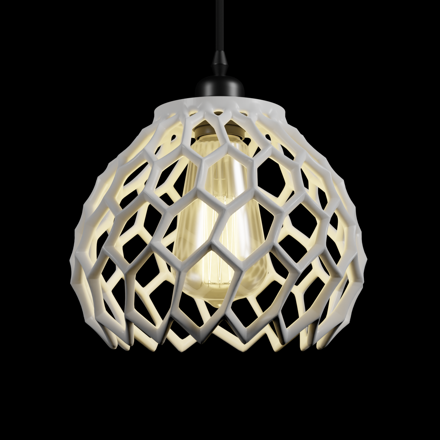 La Suspension CORAL