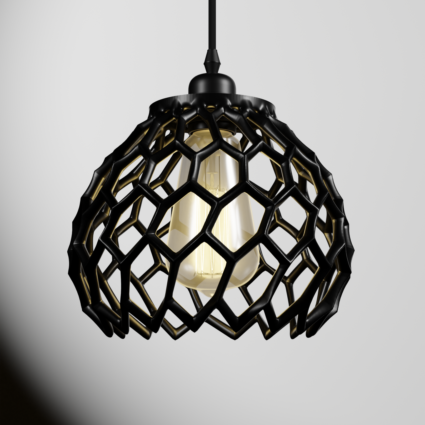 La Suspension CORAL
